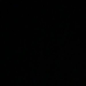 Meet your Posher, Cheyenne